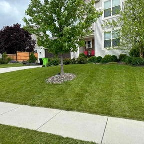 landscaping by Texas Mobile Lawn Care reviewed on August 15, 2025
