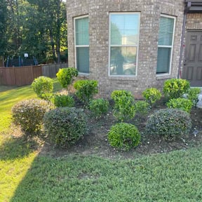 Bush Trimming by J's Trusty Turf reviewed on June 1, 2026