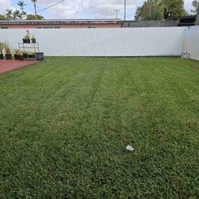 landscaping services by HalconLandscapingServices reviewed on August 19, 2025