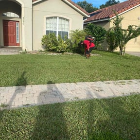 Bush Trimming by Boss Mora Crew reviewed on November 19, 2025