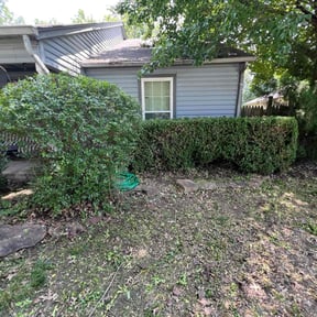 Bush Trimming by C&amp;N Lawn Care LLC reviewed on May 6, 2024
