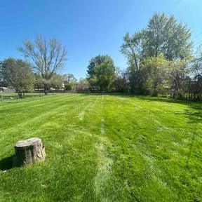 Cleanups by Johnson lawn services reviewed on November 23, 2025