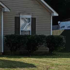 Bush Trimming by Paramount Professional Services reviewed on August 20, 2025