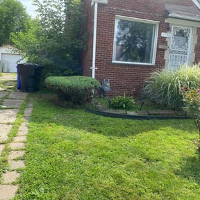 Bush Trimming by Clover construction LLC reviewed on August 15, 2025