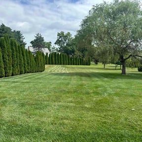 yard work by HPS Lawn Care reviewed on December 12, 2025