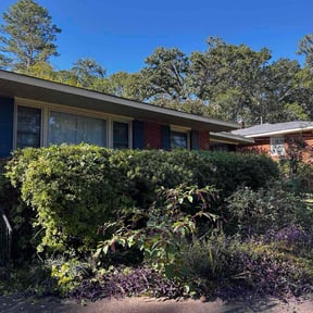 Bush Trimming by 911 potowatamie reviewed on October 19, 2025