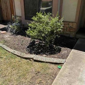 Flower Bed Weeding by DMH Properties LLC reviewed on June 18, 2026