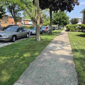 residential landscaping by Turn Around Landscaping reviewed on August 15, 2025