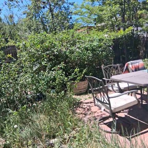 Bush Trimming by Advance Cutter Lawn Maintenance reviewed on June 12, 2026
