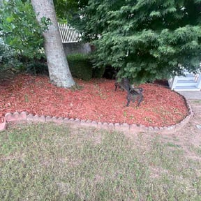 Flower Bed Weeding by Superior Exterior Pros reviewed on July 15, 2026