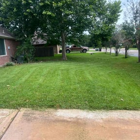 landscaping by Lawn Junkie reviewed on August 20, 2025