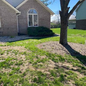 Bush Trimming by ProGreen Landscaping reviewed on May 31, 2026