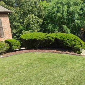 landscaping services by Lakewood Lawn Services reviewed on August 14, 2025