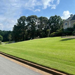 residential landscaping by SCYARDS LLC reviewed on August 15, 2025