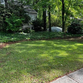 turf maintenance by Loyalty lane landscaping reviewed on November 26, 2021
