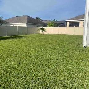 yard care by Douglas Lawn and Services reviewed on December 9, 2025