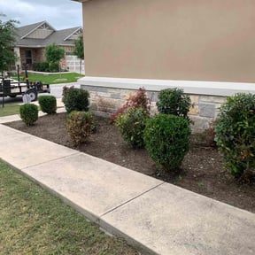 Bush Trimming by RRSCINC reviewed on July 8, 2025