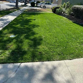 lawn maintenance by Independent Contractor reviewed on July 3, 2025