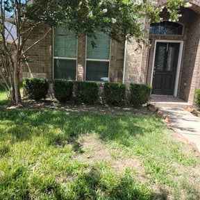 Bush Trimming by A Better Way reviewed on November 21, 2025