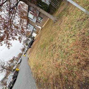 Leaf Removal by Bro’s Company reviewed on November 24, 2025