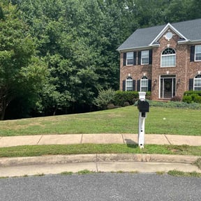 yard service by Split Lawncare reviewed on December 8, 2025