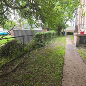 Bush Trimming by S&amp;K Landscaping reviewed on June 23, 2026