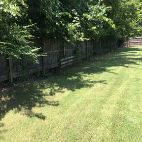 Bush Trimming by Cloverleaf Lawncare reviewed on August 21, 2025