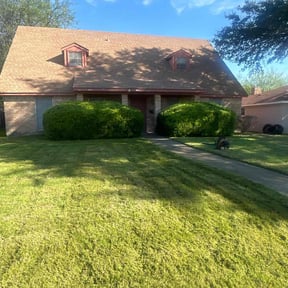 Bush Trimming by TMD ELITE PROPERTY PRESERVATION LLC reviewed on August 18, 2025