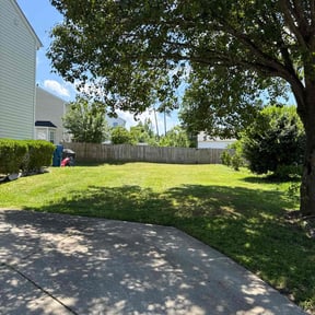 yard work by Nyasia's landscape reviewed on August 15, 2025