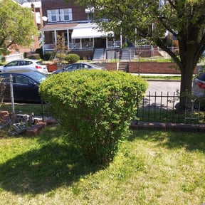 Bush Trimming by Neighborhood lawn care Llc reviewed on August 17, 2025