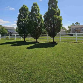 yard care by Legend Property Care LLC reviewed on December 11, 2025