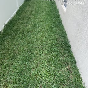 Bush Trimming by ClearCoast Lawn Solutions reviewed on March 20, 2024