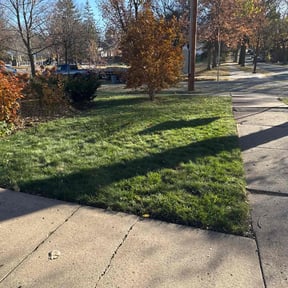 Leaf Removal by Blade2Bloom reviewed on November 20, 2025