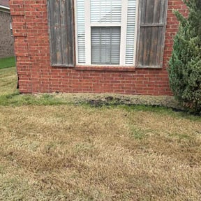Flower Bed Weeding by RLG lawn services reviewed on October 23, 2025