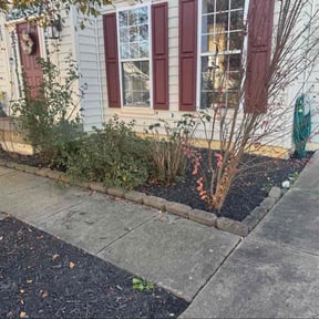 Leaf Removal by Yardcraft Solutions reviewed on November 18, 2025