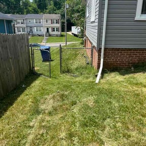 Leaf Removal by Zia Power Lawn Care LLC. reviewed on June 5, 2026