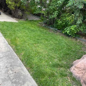 lawn service by N/A reviewed on June 26, 2025