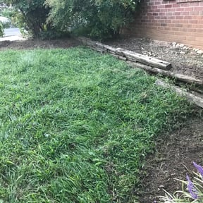 Flower Bed Weeding by Omar Norris reviewed on August 13, 2025
