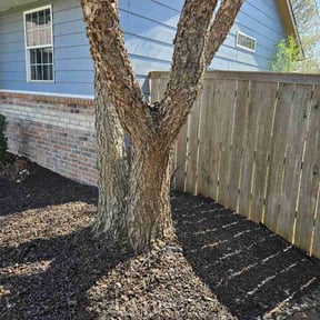 Mulching by One cut lawn care reviewed on August 13, 2025