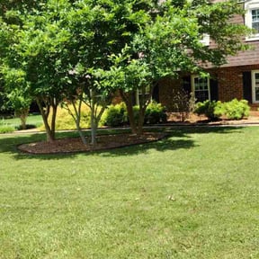 residential landscaping by LA Lawncare Service reviewed on November 23, 2025
