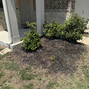 Flower Bed Weeding by Votaw lawn care reviewed on August 6, 2026