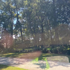 Bush Trimming by Lucky D Lawn care reviewed on November 18, 2025