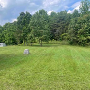 yard maintenance by Cisco's Lawn Amigo reviewed on August 15, 2025