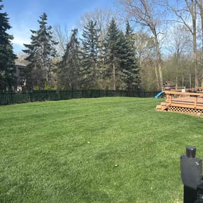 lawn service by M&W Construction reviewed on May 19, 2025