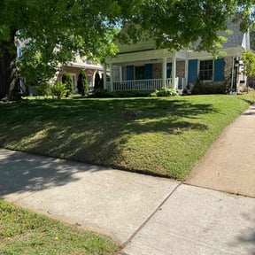 yard work by T&M Lawn Services reviewed on August 13, 2025