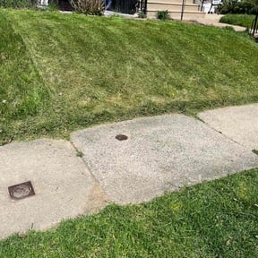 turf care by Kelpkuts LLC reviewed on April 19, 2024