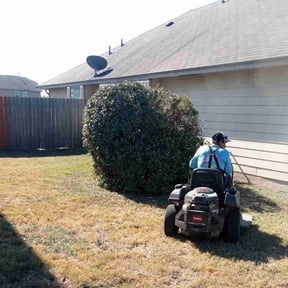 Bush Trimming by Rjm reviewed on October 21, 2025