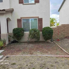 Bush Trimming by DCL Services reviewed on November 23, 2025