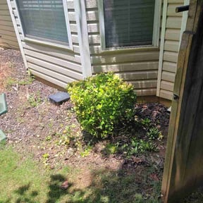 Bush Trimming by Lawn care by lalo reviewed on July 15, 2026