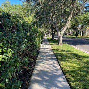 Bush Trimming by Gio Landscaping reviewed on August 21, 2025
